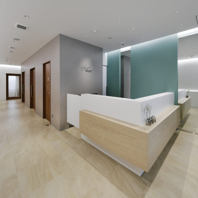 豊中駅前にある循環器専門クリニック。心臓病予防から生活習慣病管理まで、日常に寄り添う内科医療を提供する豊中駅前さかい内科・循環器クリニックの内臓イメージ。