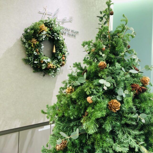 豊中駅前さかい内科・循環器クリニック 受付に飾られた、クリスマスリースとクリスマスツリー